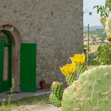 Agriturismo Casa Montecucco Affittacamere Giuncarico Esterno foto